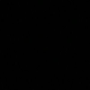 Meet your Posher, Elena